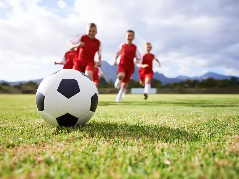 Sports Chiropractor For Athletes Near Me in Allison Park, PA. Chiropractic Care For Athletes.